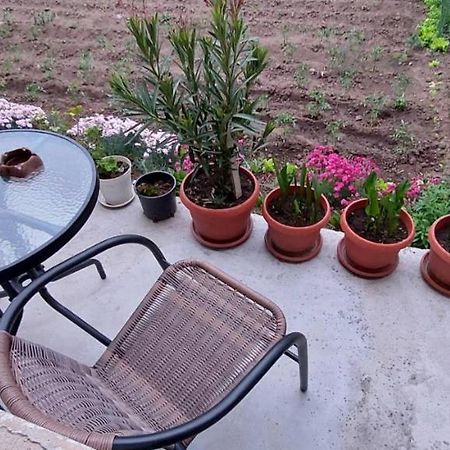 Guest House Kukera Pavel Banya Exterior foto